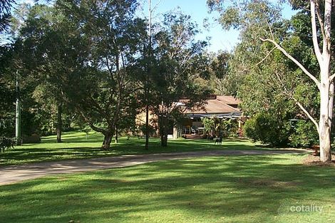 Property photo of 31 Kintyre Street Brookfield QLD 4069