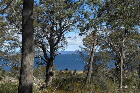 Property photo of 56 Rainbow Road Breona TAS 7304