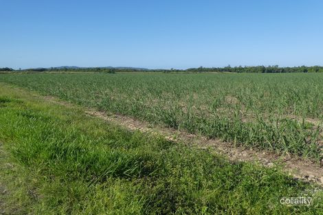 Lot 266 Eden Rd, Cowley, QLD 4871