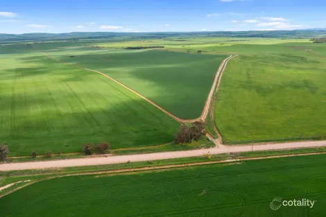 267 Boucaut Rd, Brinkworth, SA 5464