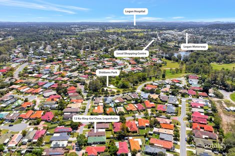 Property photo of 12 Ku-Ring-Gai Close Loganholme QLD 4129
