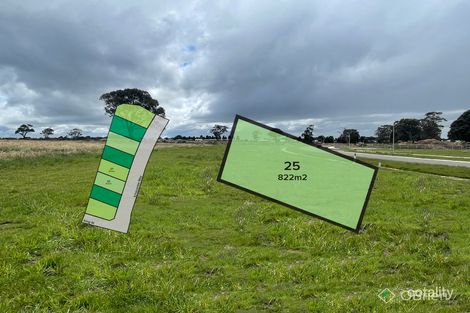 25 Ilfracombe Way, Paynesville, VIC 3880