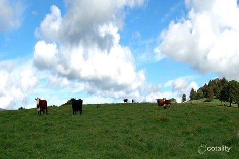 175 Coramba Rd, Dorrigo, NSW 2453