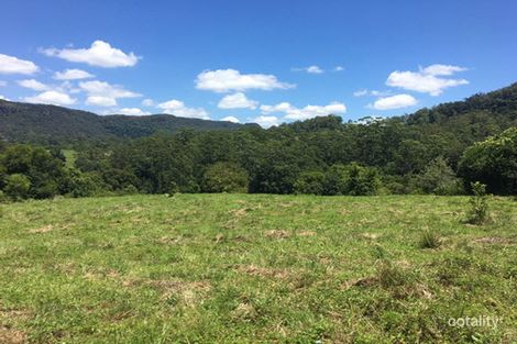 100 Bishops Creek Rd, Coffee Camp, NSW 2480