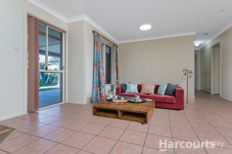 Property photo of 7 Jezebel Place Kallangur QLD 4503
