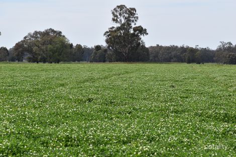 2071 Yarrabandai Rd, Bedgerabong, NSW 2871