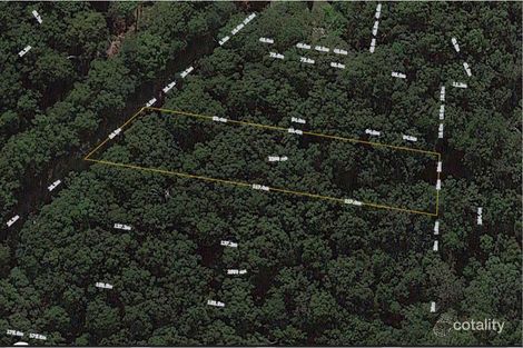 1935 Springbrook Rd, Springbrook, QLD 4213