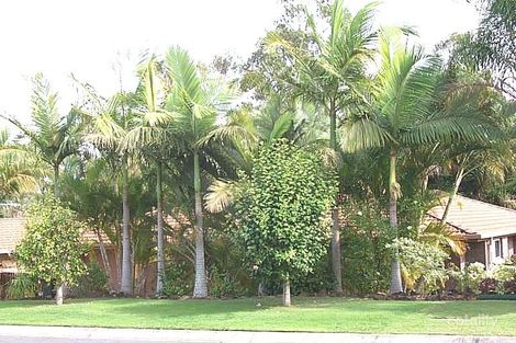 8 Randwick St, Capalaba, QLD 4157