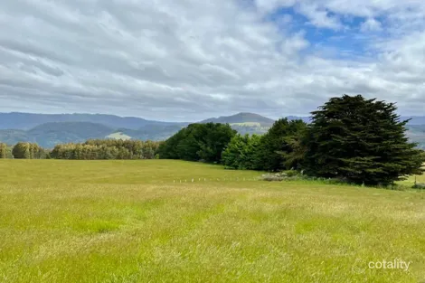 Property photo of 29371 Tasman Highway Weldborough TAS 7264