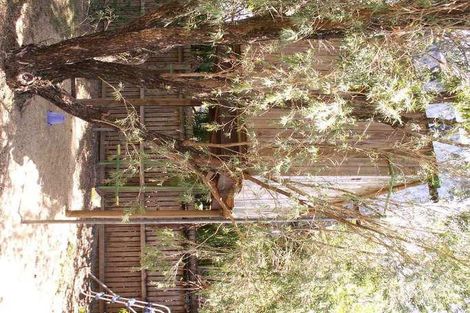 Property photo of 13 Fuscia Court Mooroobool QLD 4870