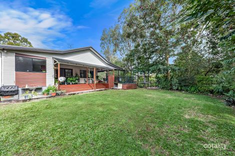 Property photo of 19 Stormvogel Drive Mandalay QLD 4802