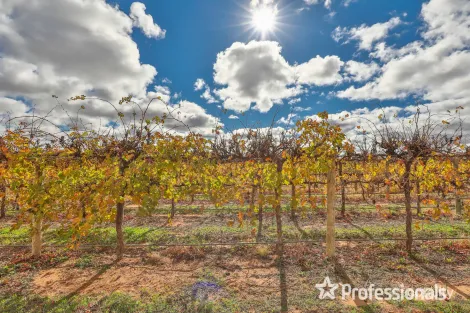 8514 Calder Hwy, Red Cliffs, VIC 3496