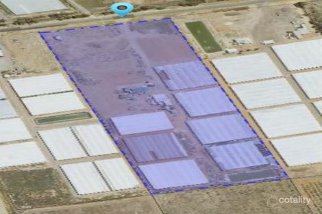 211 Carmelo Rd, Buckland Park, SA 5120