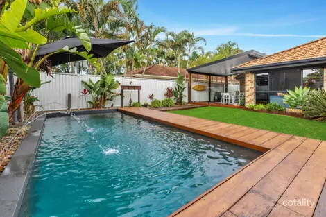 Property photo of 11 Pimelea Court Mountain Creek QLD 4557
