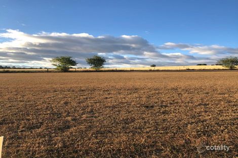 Property photo of 13 Wheatfield Street Kalbar QLD 4309