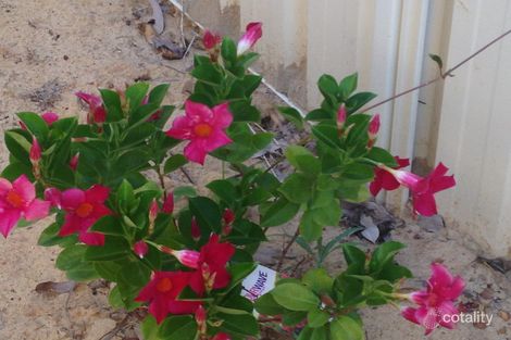 Property photo of 24 Fairway Bend Northam WA 6401