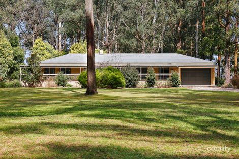 Property photo of 1349 Myers Creek Road Toolangi VIC 3777