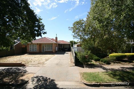 44 Ayers Ave, Daw Park, SA 5041