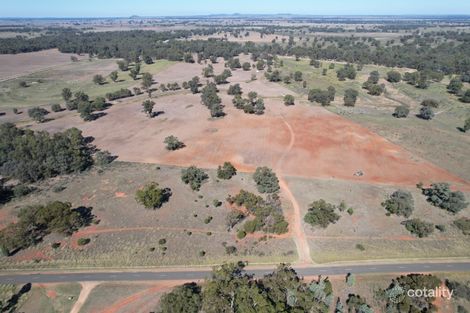 Property photo of 1421 Kiacatoo Road Condobolin NSW 2877