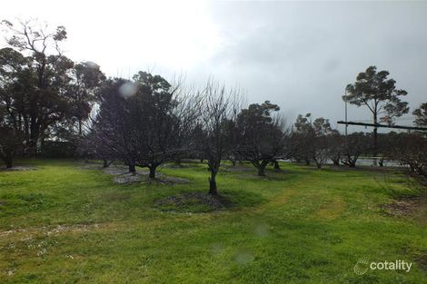 Property photo of 529 Chester Pass Road Willyung WA 6330