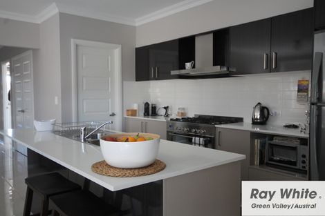 Property photo of 9 Olive Hill Drive Cobbitty NSW 2570