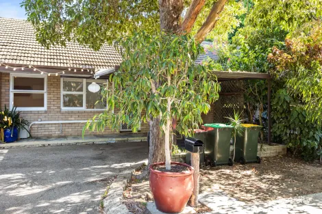 56 Excelsior St, Shenton Park, WA 6008