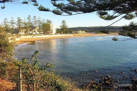 Property photo of 3 Undercliffe Street Dee Why NSW 2099