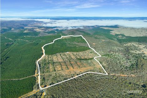 3653 Arkstone Rd, Burraga, NSW 2795