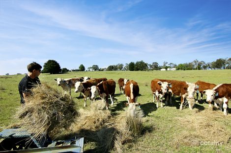 585 Great Alpine Rd, Sarsfield, VIC 3875