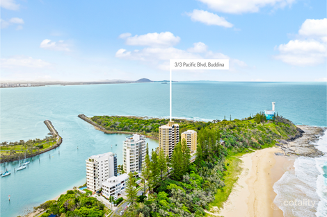 Property photo of 3/3 Pacific Boulevard Buddina QLD 4575