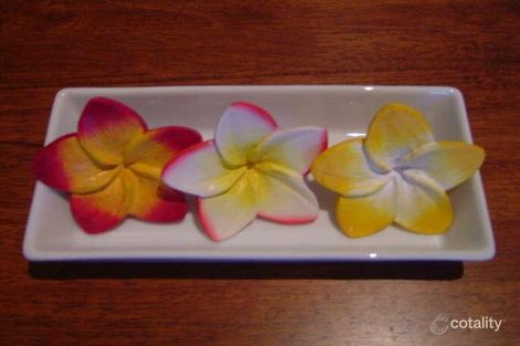 1/6 Riviera St, Mentone, VIC 3194