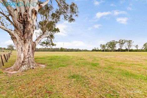 705 Cut Hill Rd, Cobbitty, NSW 2570