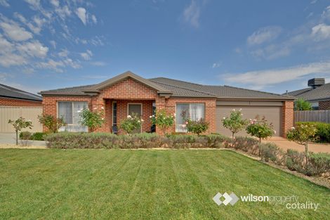 Property photo of 11 Nicholson Place Traralgon VIC 3844