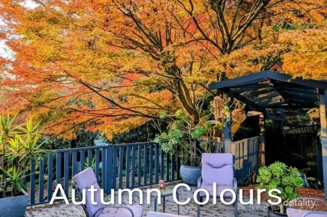 Property photo of 19 Gembrook-Launching Place Road Gembrook VIC 3783