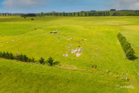 270 Little River Rd, Braidwood, NSW 2622