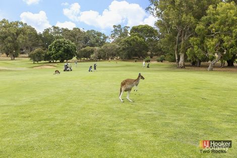 Property photo of 3/56 St Andrews Drive Yanchep WA 6035