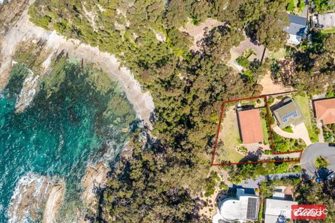 Property photo of 21 Beechwood Court Sunshine Bay NSW 2536