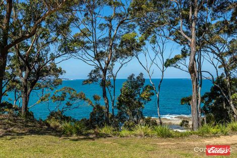 Property photo of 21 Beechwood Court Sunshine Bay NSW 2536