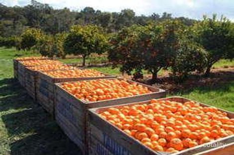 Property photo of 6245 Old Northam Road Chidlow WA 6556