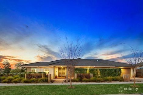Property photo of 41 Beveridge Crescent Forde ACT 2914