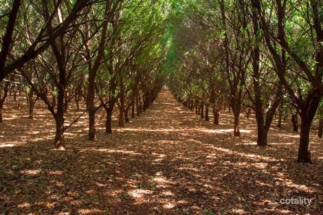 Property photo of 144 Fraser Road Dunoon NSW 2480