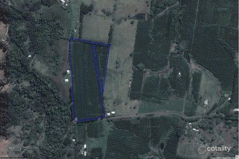 Property photo of 144 Fraser Road Dunoon NSW 2480