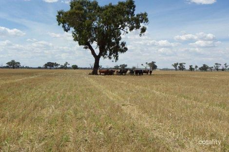 5672 Riverina Hwy, Howlong, NSW 2643