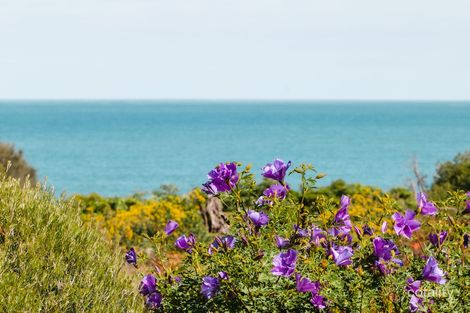 4 Haven St, Somers, VIC 3927