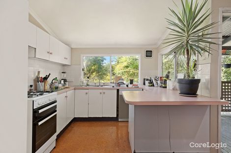 Property photo of 17 Latrobe Street East Brisbane QLD 4169