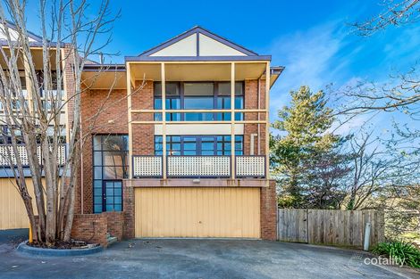 Property photo of 51 Winfield Road Balwyn North VIC 3104