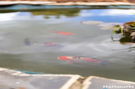 Property photo of 16 Mungala Crescent Miandetta TAS 7310