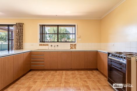 Property photo of 23 Aitchison Avenue Naracoorte SA 5271
