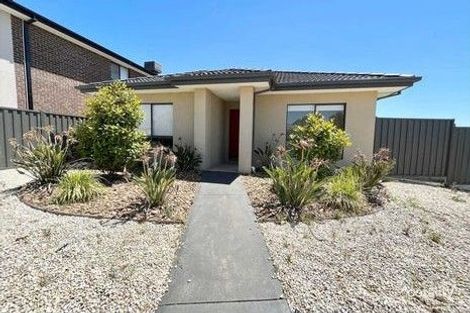 156 Hummingbird Bvd, Tarneit, VIC 3029