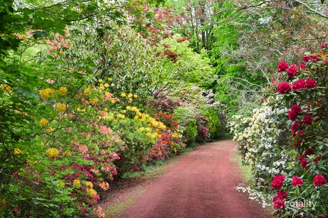 Property photo of 51 Devonshire Lane Mount Macedon VIC 3441